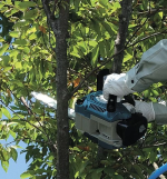 DCS232T Máy cưa xích chạy xăng Makita (22.2ml/250mm/